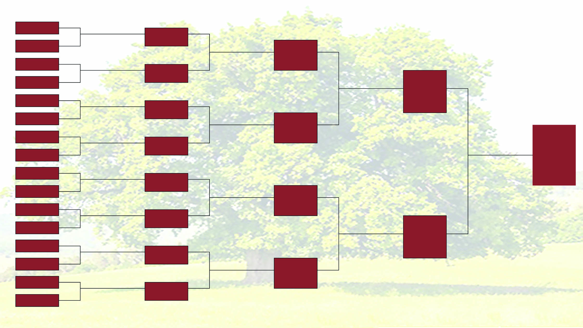v�vod2